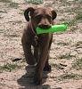 10_weeks_Belle.jpg