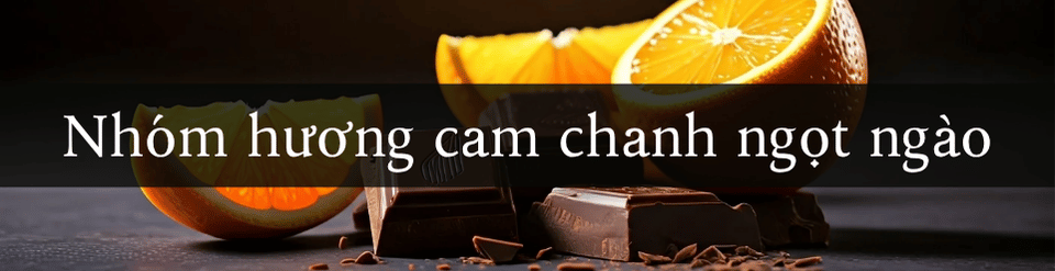 nhom-huong-cam-chanh-ngot-ngao.png